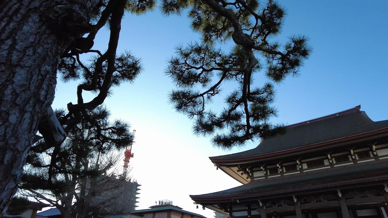 金沢東別院表参道と金沢駅鼓門を歩く #金沢の風景　2020年12月9日