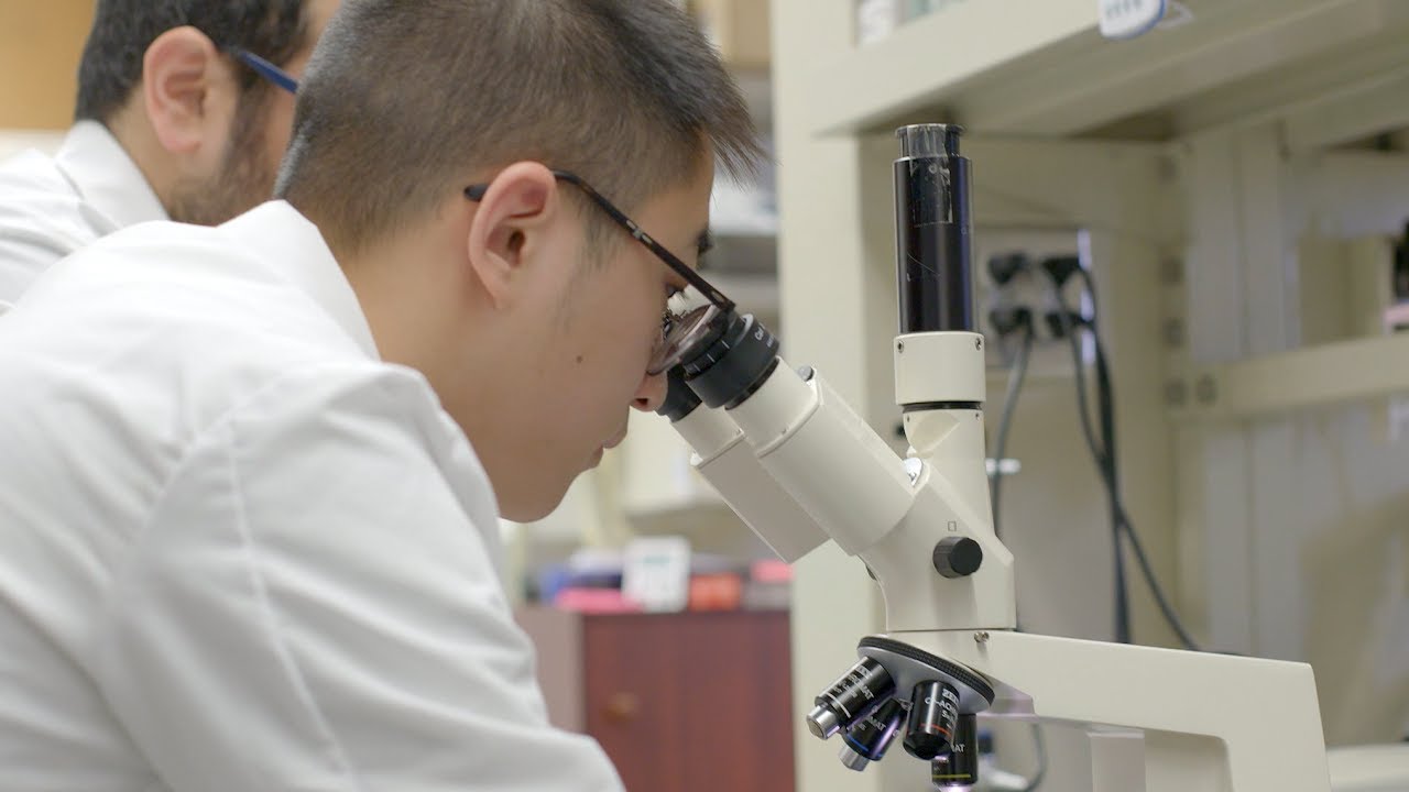Toxicology Graduate Program