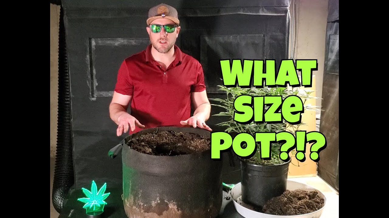 Organic Cannabis / Seed 2 Smoke - Season 1 Episode 8 / Living Soil / Grow Weed Easy / Trainwreck
