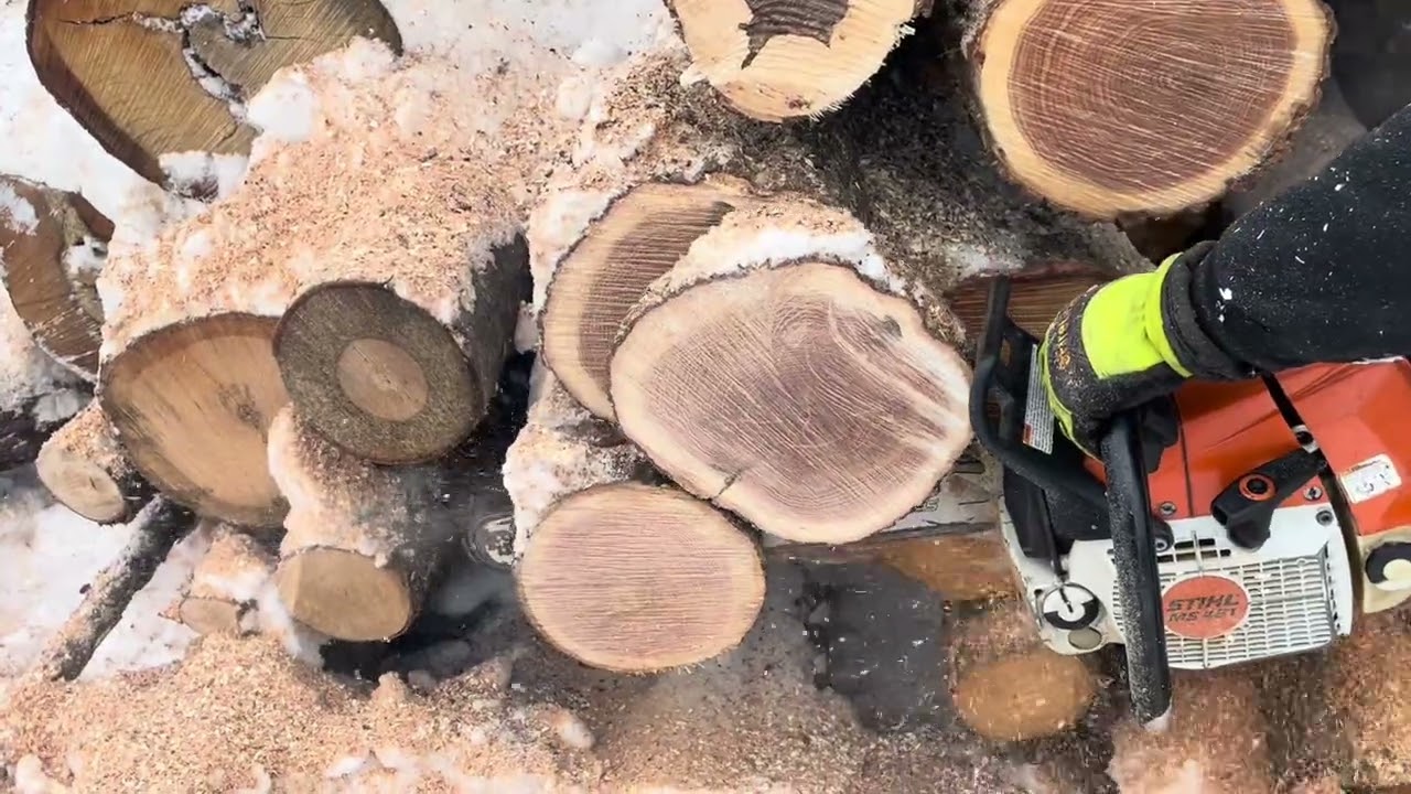 Stihl ms 462 or Stihl ms 461 let’s compare 