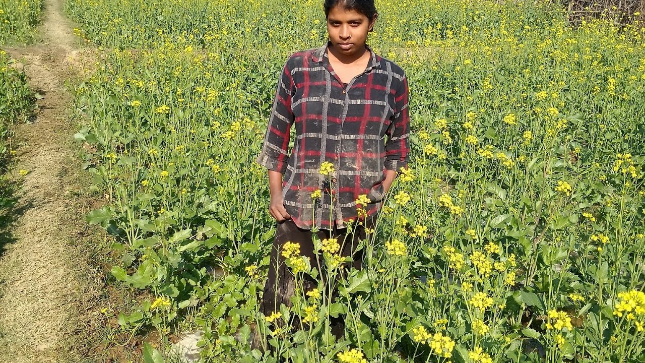 हम लोग घर आ रहे हैं,,🌺🌹🌹🥀