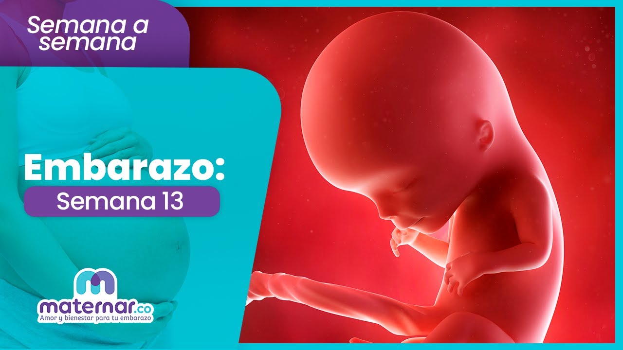 Semana 13 de embarazo: Las claves para el primer trimestre | Maternar.co