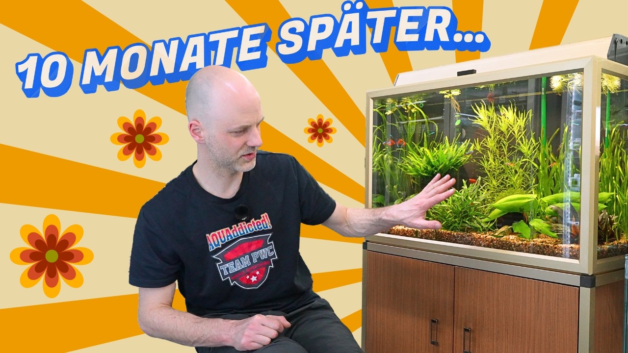 10 Monate sp&auml;ter: Unser 80er Juwel Retro Aquarium &ndash; das ist daraus geworden!