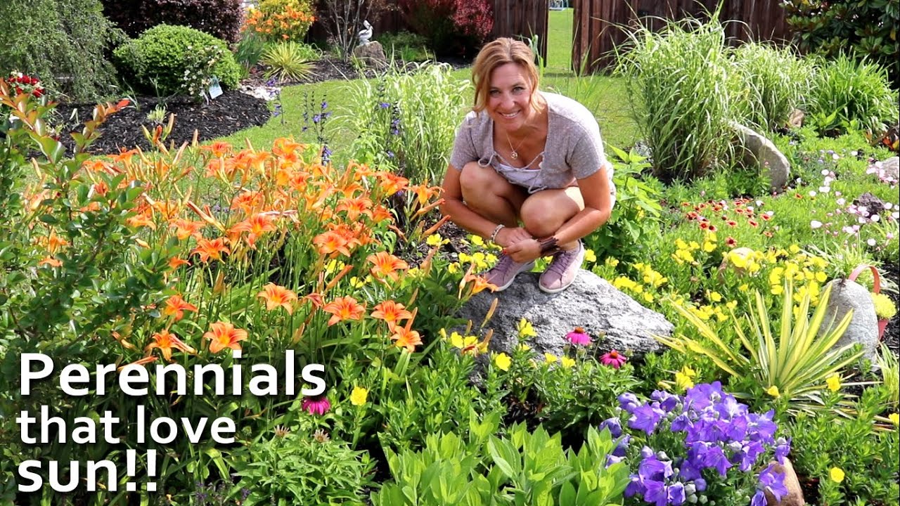 TOP 10 full sun perennials that get bigger and more beautiful each year! | My Carolina Garden