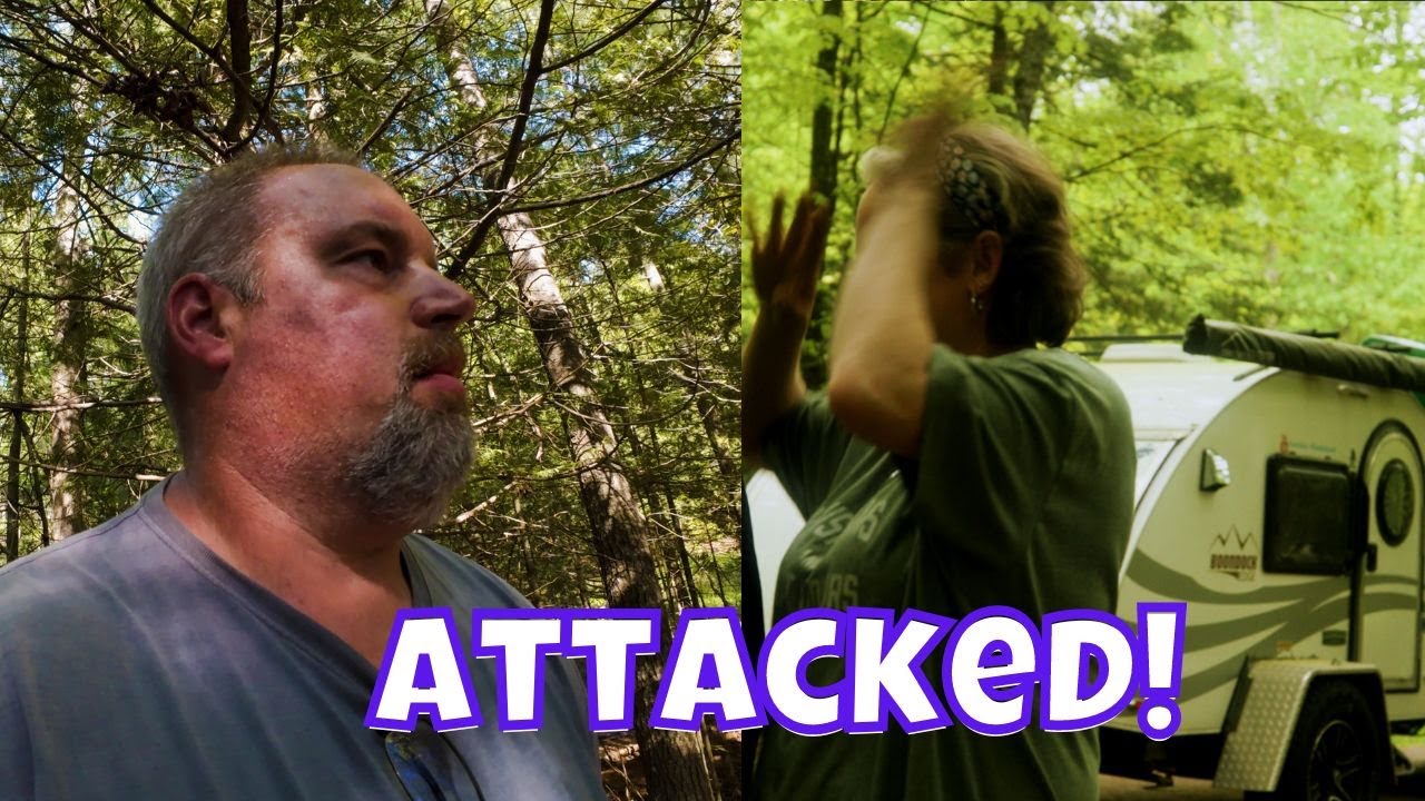 Under attack in the Ottawa National Forest | T@g Trailer in the Upper Peninsula | Nucamp
