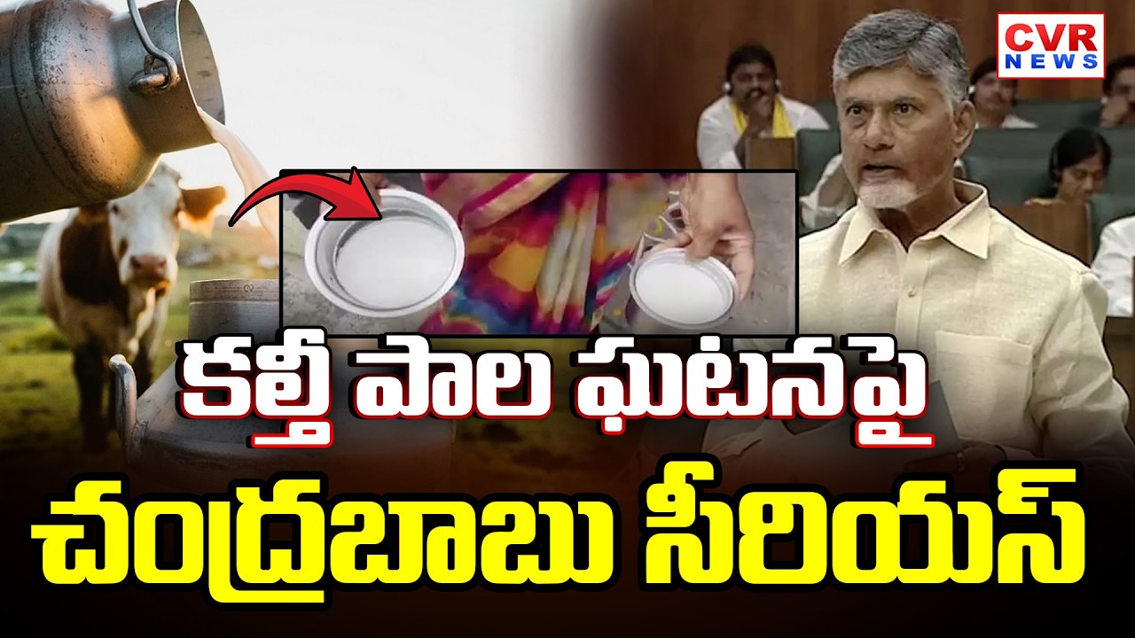 Chandrababu Naidu Is Serious About Fake Milk | Rajahmundry Milk Case | CVR News