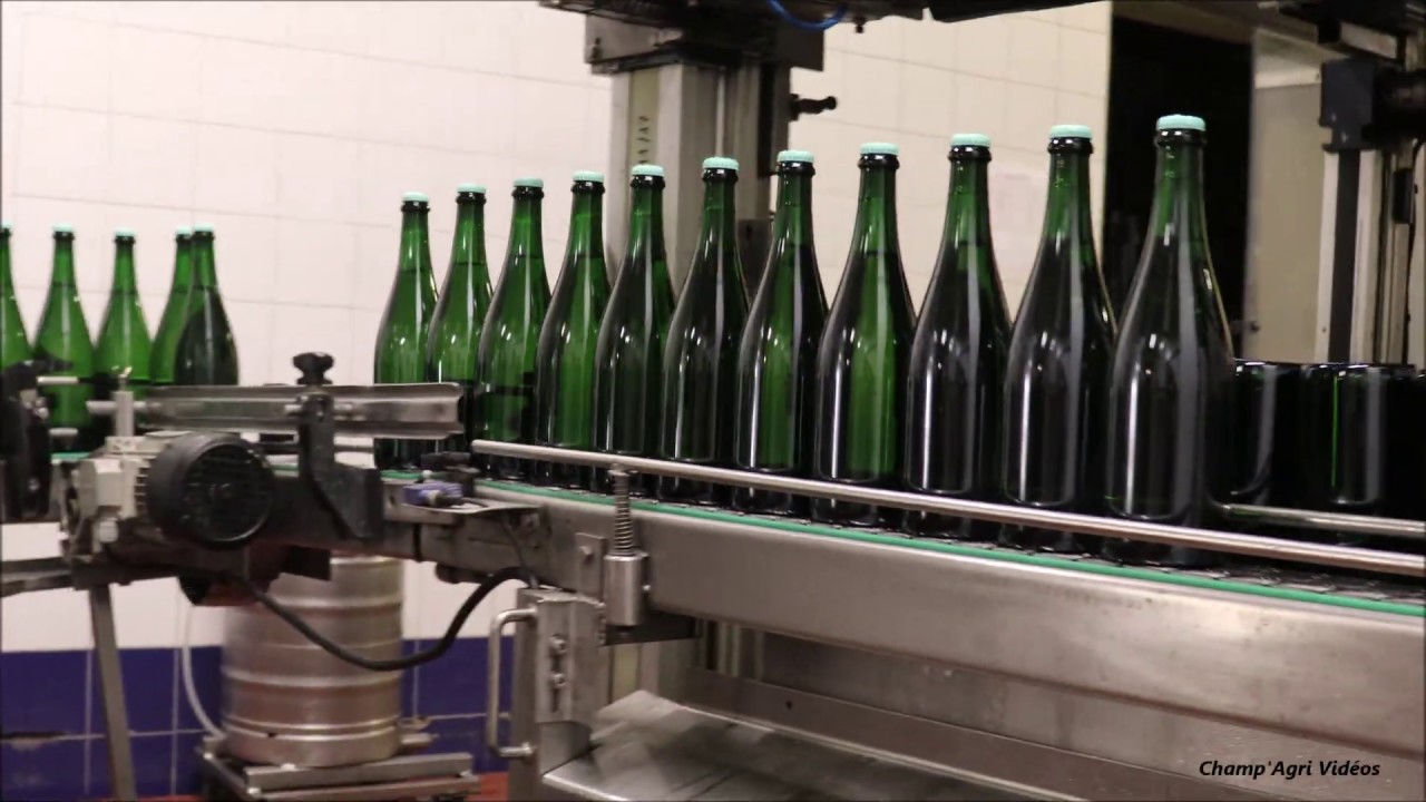 Dégorgement du Champagne 2020!🍾