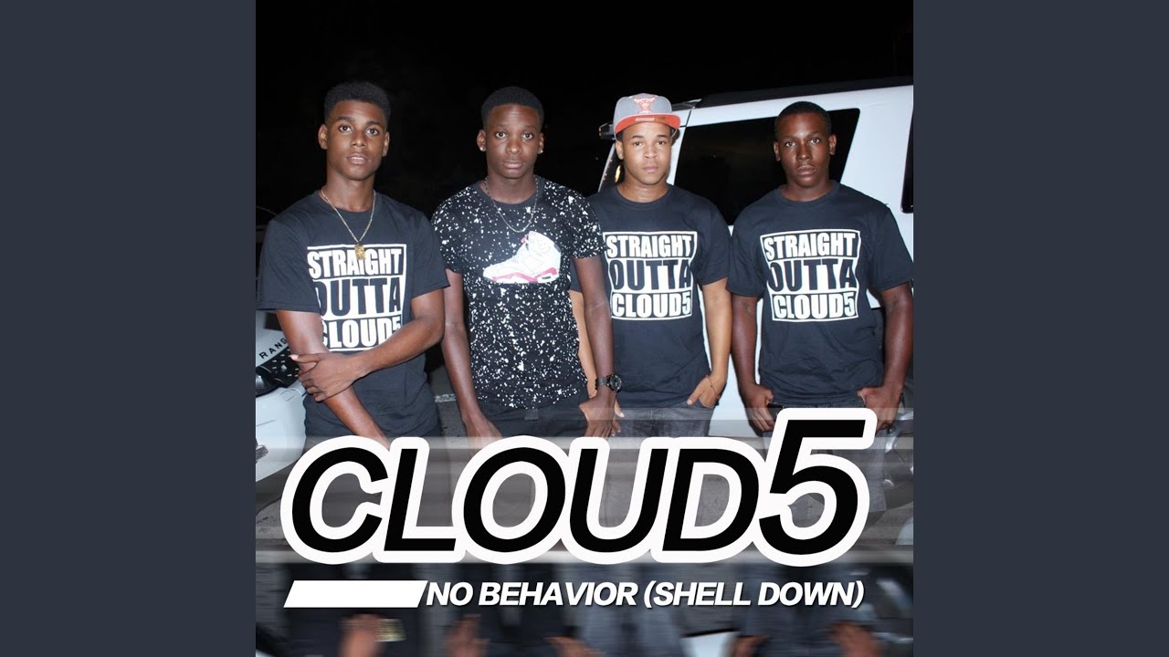 No Behavior Shell Down