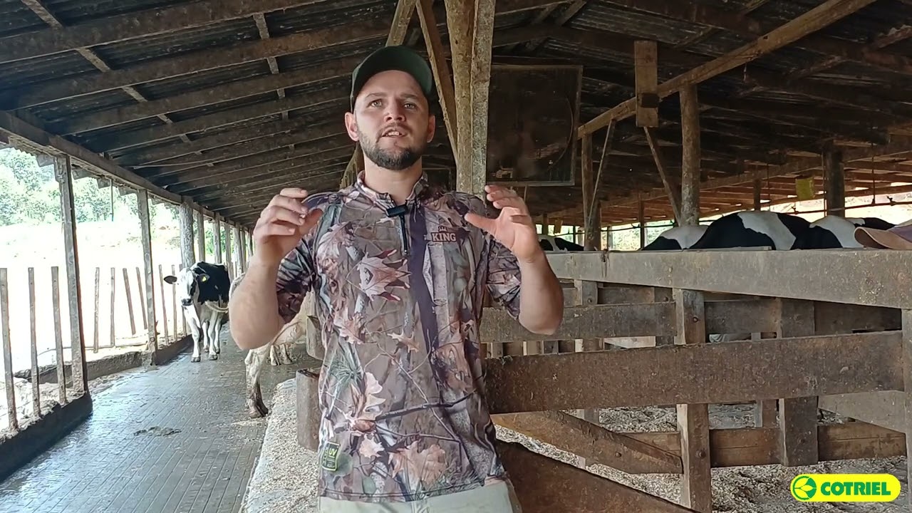 Conheça o produtor Ricardo Talgatti, um dos que foram visitados pelos sócios da Cotriel em Erechim