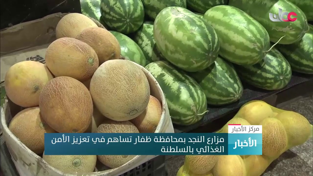 مزارع النجد بمحافظة ظفار تساهم في تعزيز الأمن الغذائي بالسلطنة
