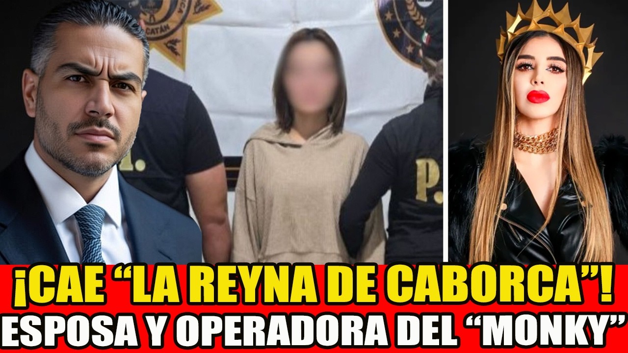 ¡HARFUCH LES TUMBA A SU REYNA! COORDINABA EL TRAF1C0 DE 4RM4S Y DE LA REGIÓN!