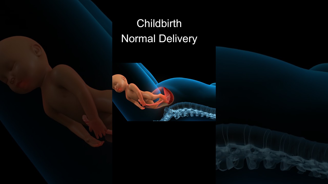 Childbirth / Normal Delivery / BabyBorn  / Dr Dipti Jain / Advance Hospital Ahmedabad/ YoutubeShorts