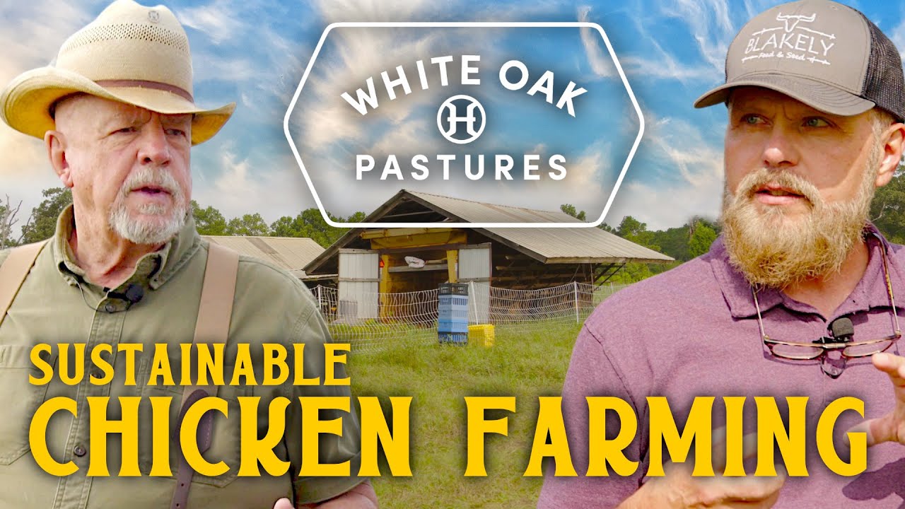 Regenerative Chicken Farming | Ep. 3 | White Oak Pastures