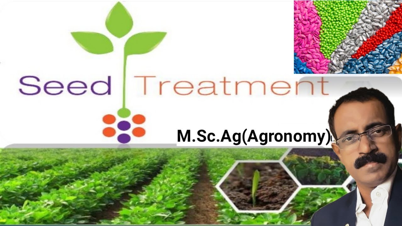 Seed Treatment