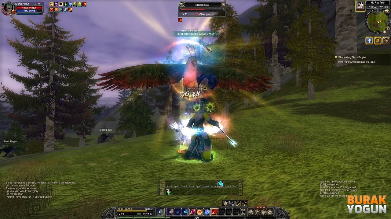Silkroad Online - Eliminating Black Eagles (Roc Mountain Quest)