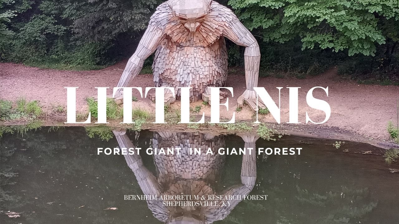 Little Nis Troll at Bernheim Arboretum, Forest Giants in a Giant Forest in Shepherdsville, Kentucky