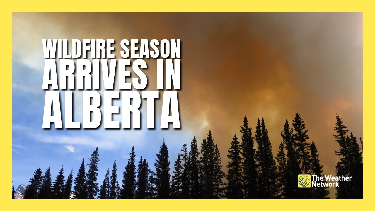 Is Alberta Ready? Assessing The Wildfire Risk This Upcoming Season