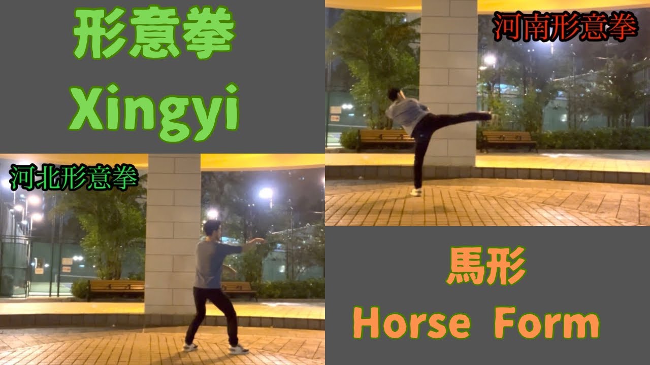 河北形意拳vs河南形意拳 〜馬形〜　Hebei Xingyi vs Henan Xingyi ~Horse Form~ 