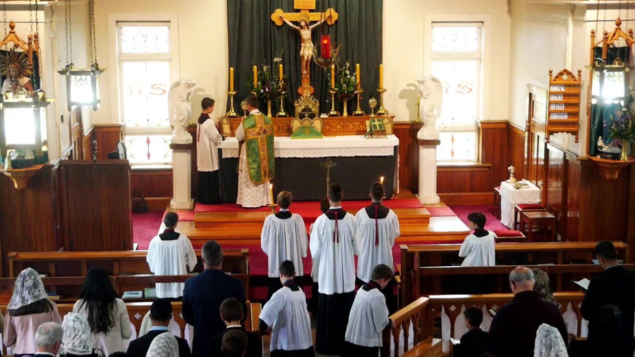 SSPXNZLIVE - Fourth Sunday after the Epiphany - Sung Mass - 29 January 2023