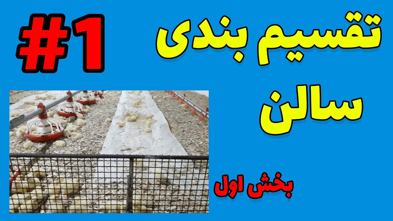 مزایای تقسیم‌بندی (پن بندی)  سالن پرورش مرغ گوشتی - بخش اول