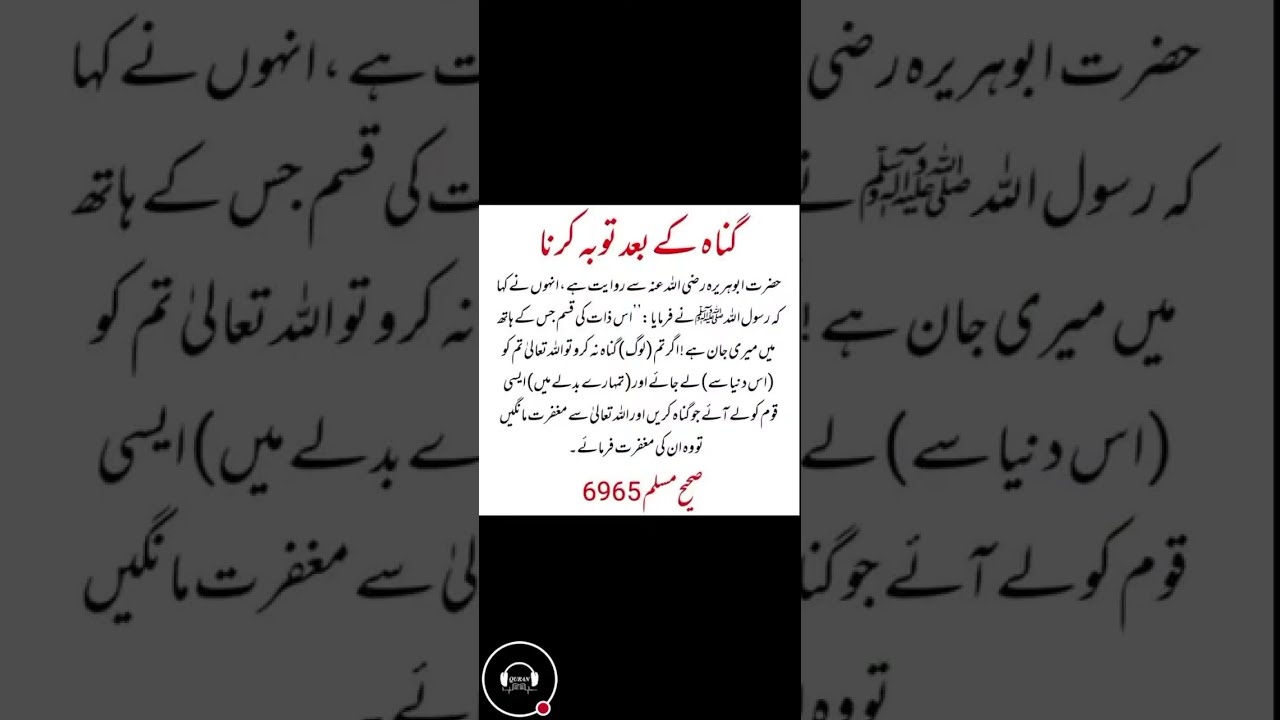 The Quran Voice | live videos