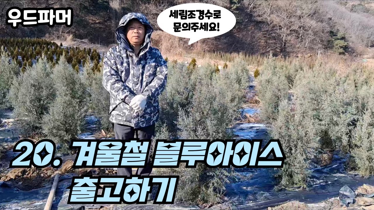 겨울철 블루아이스 출고하기