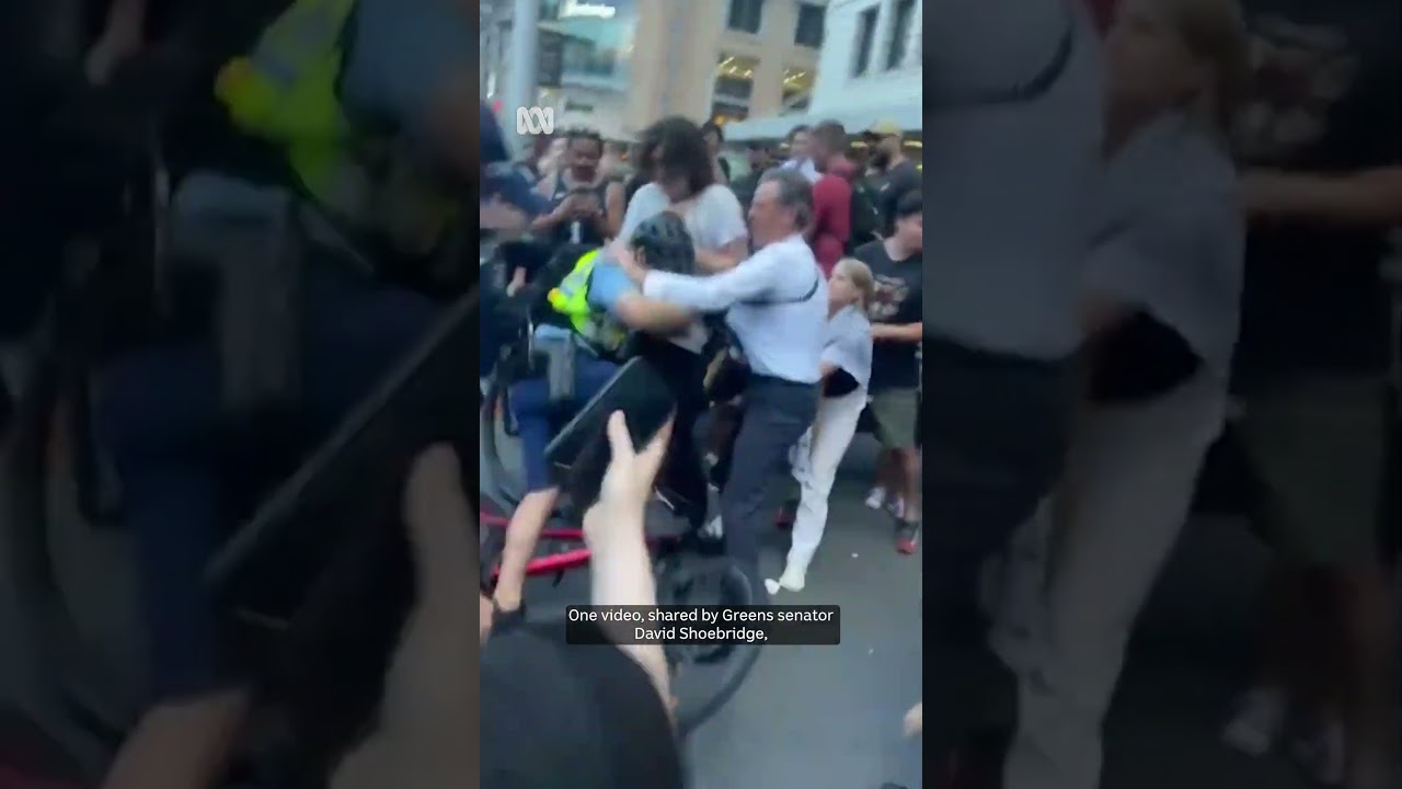Violent clashes in Sydney as Israeli president visits Australia | ABC NEWS