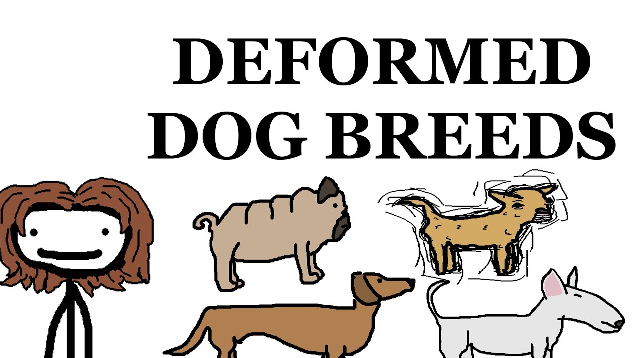 Dog Breed Deformities
