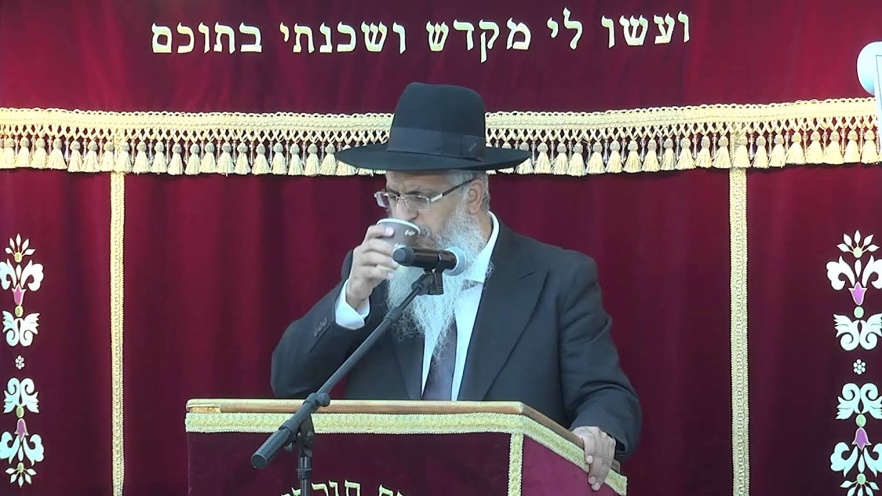 מלאכת בורר | הלכות שבת | הרב יורם סרי