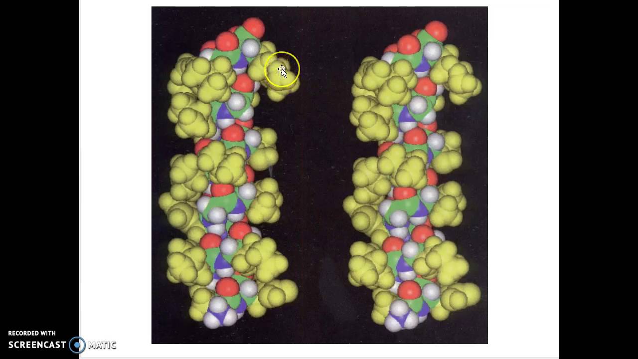 alpha helix and its variants