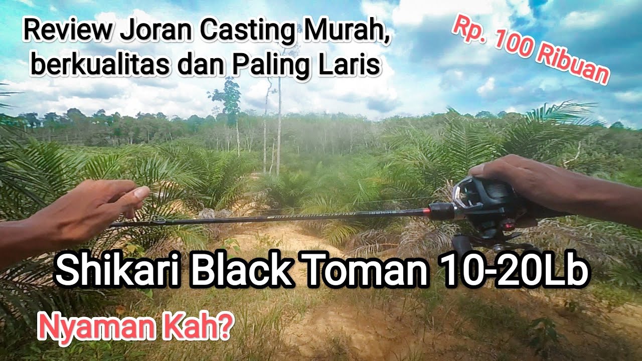 Review Joran Casting Shikari Black Toman 10-20Lb untuk casting Gabus ‼️nyaman?