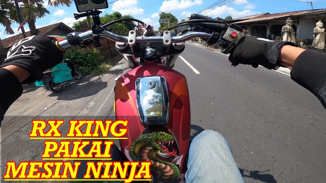 RX KING RASA NINJA / NINJA RASA RX KING ??