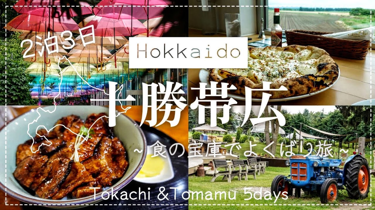 【北海道 十勝帯広】食の宝庫🍰🐄十勝エリアをなんとしても満喫する！曇天グルメ旅 / 北海道旅行vlog