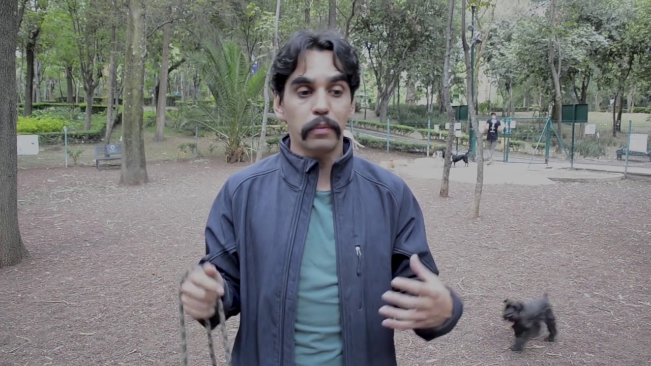 🐶 C&oacute;mo salvar la vida de mi perro en caso de ataque, Perrhijos adiestramiento canino con Gus Palomar