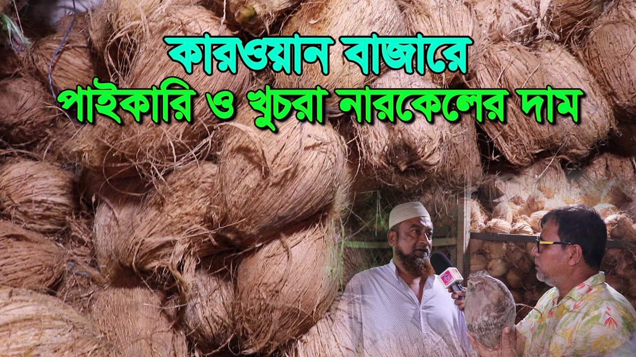 কারওয়ান বাজারে পাইকারি নারকেলের দাম | দুর্গা পূজায় নারকেলের দাম কেমন যাবে | Chaka Bazar | Coconut