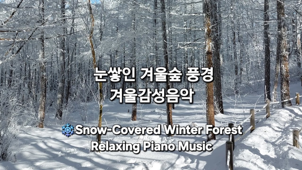 눈쌓인 겨울숲풍경, 겨울감성음악, Peaceful Snow-Covered Winter Forest, ❄️ Calm & Quiet Piano