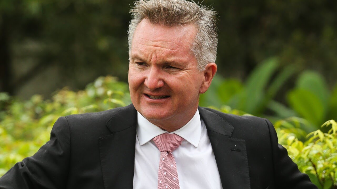 Albanese government&rsquo;s renewable energy plan &lsquo;so far is failing&rsquo;: Matt Canavan