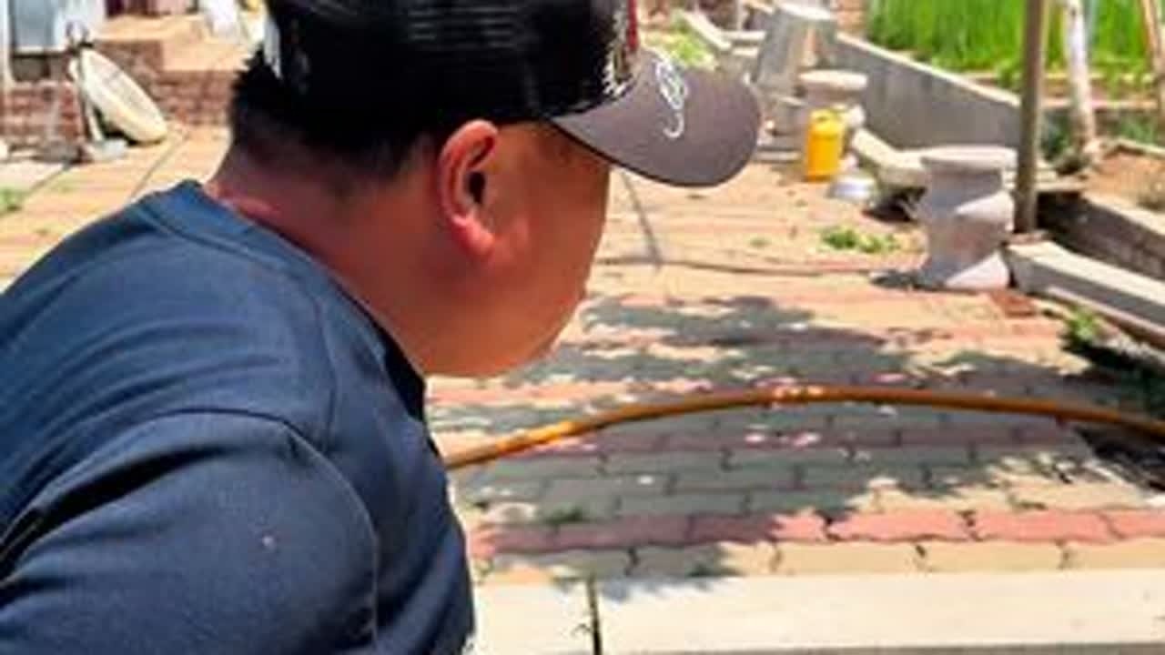 樱桃一年一个置啦吧。