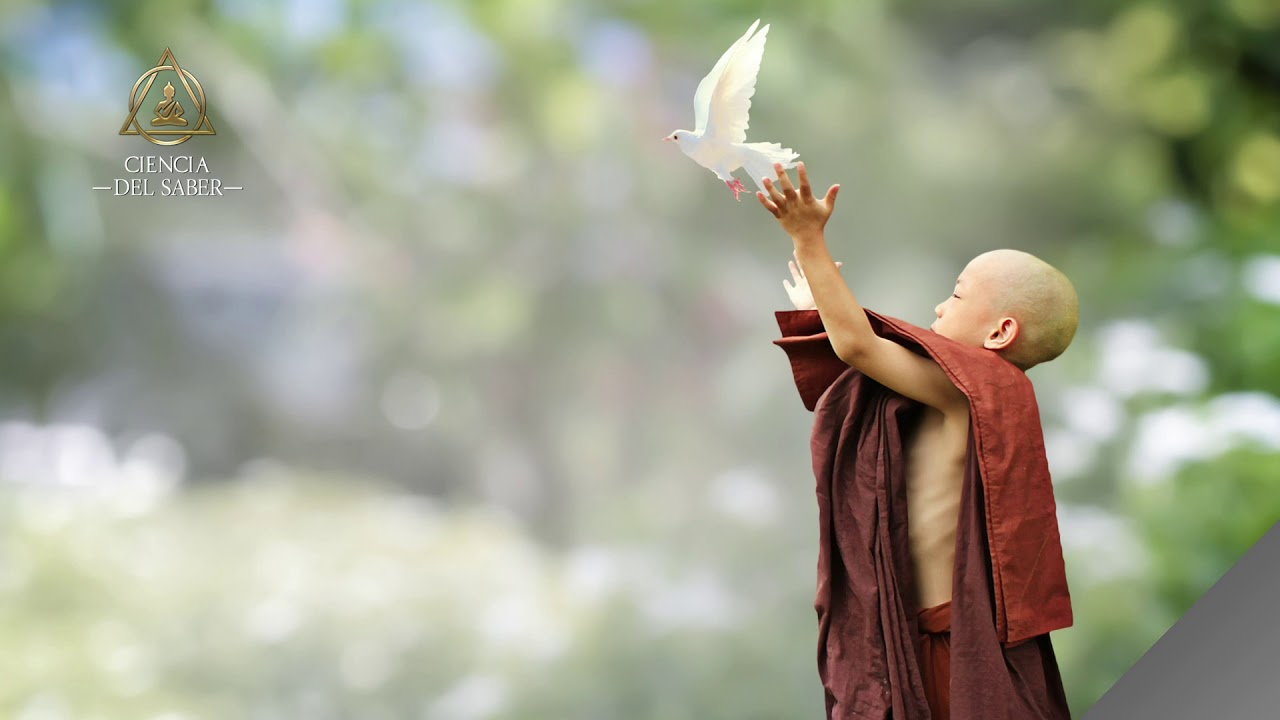 9 SUTRAS O ENSEÑANZAS BUDISTAS PARA TU CRECIMIENTO ESPIRITUAL