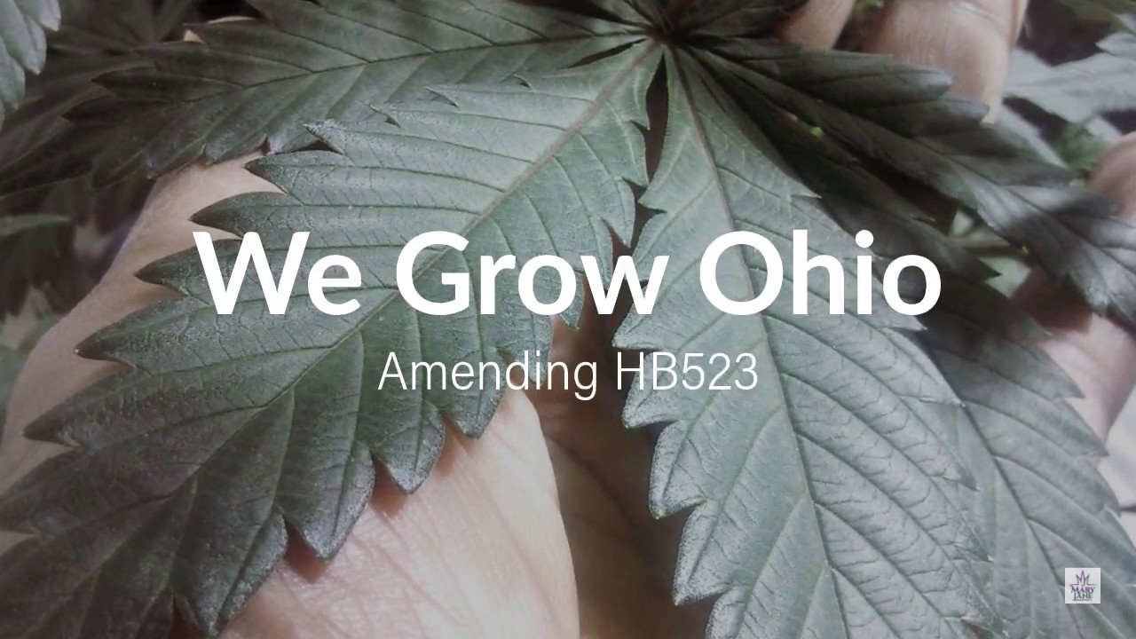 We Grow Ohio | Amending HB523 to allow Home Grow