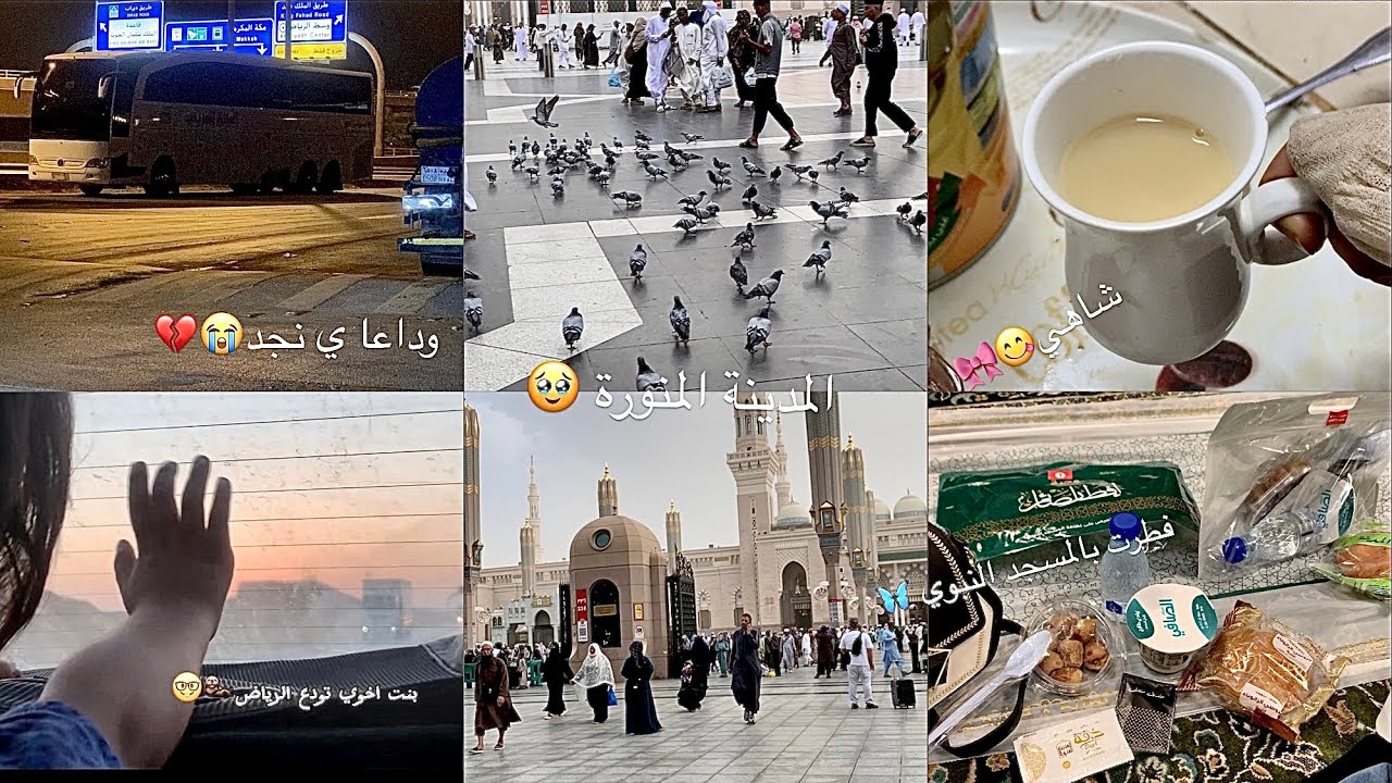 فلوق| نقلت من الرياض الى المدينة المنورة 🥹🦋