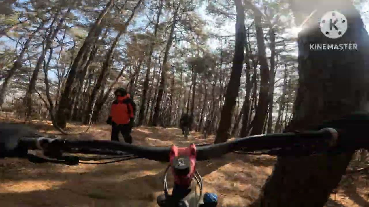 260208 광교산 헬기장 능선 