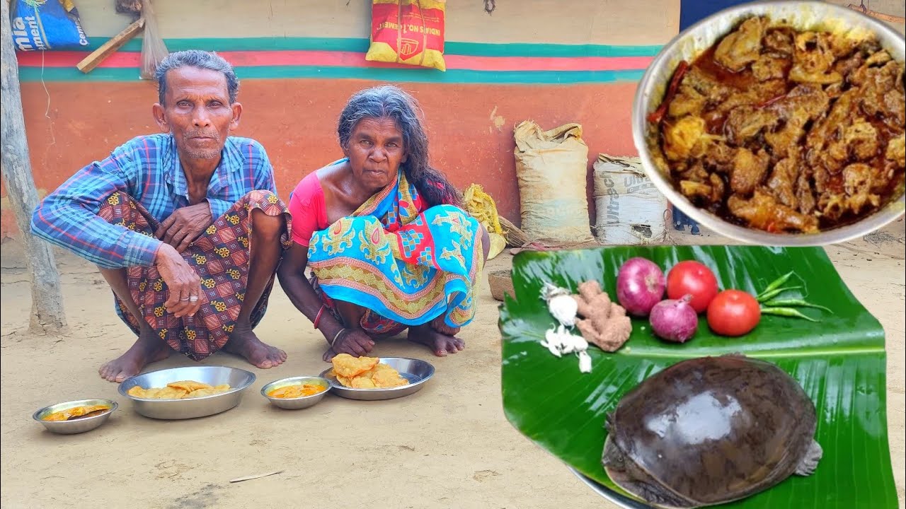 first time cooking TORTOISE curry || old grandma & grandpa how to cook TORTOISE curry and eating