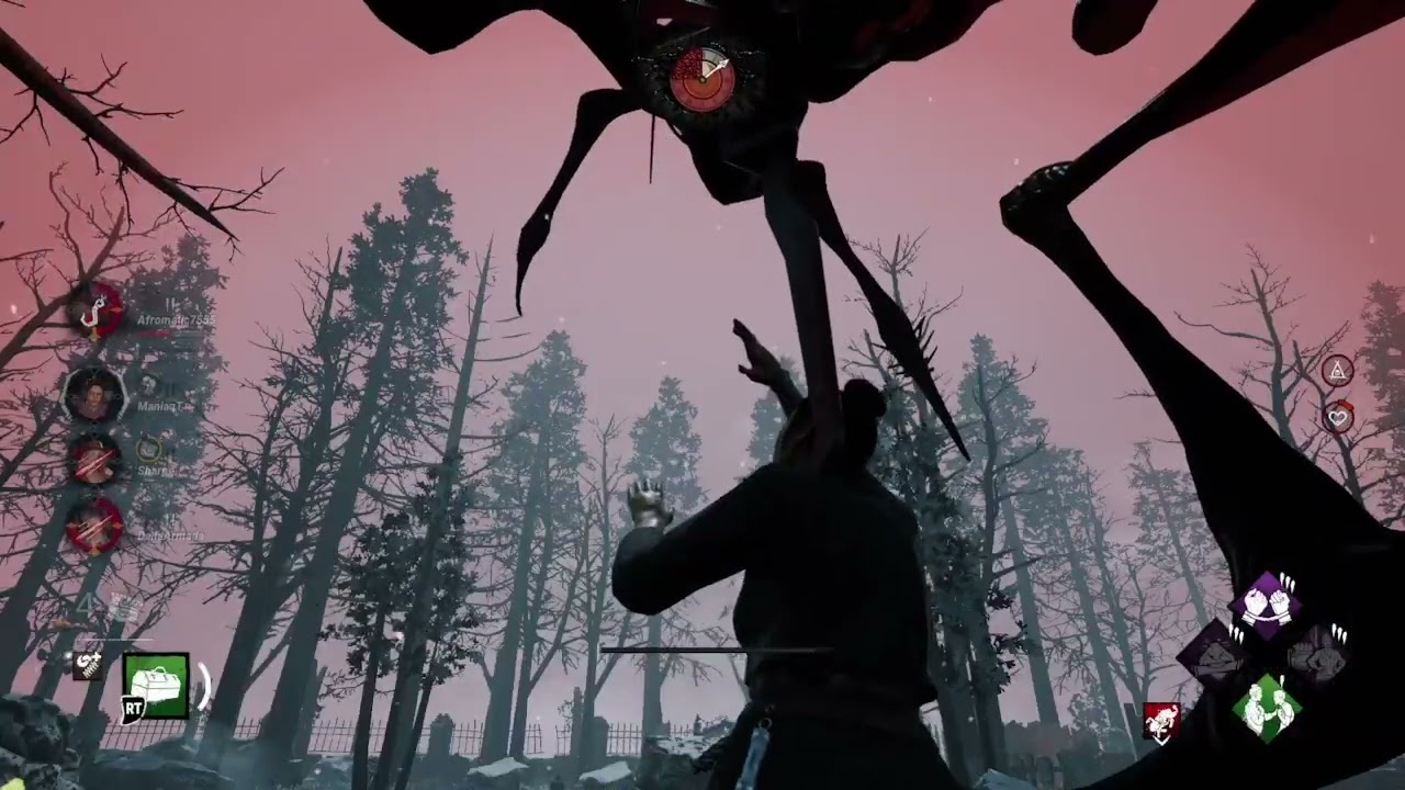 DBD!🤩