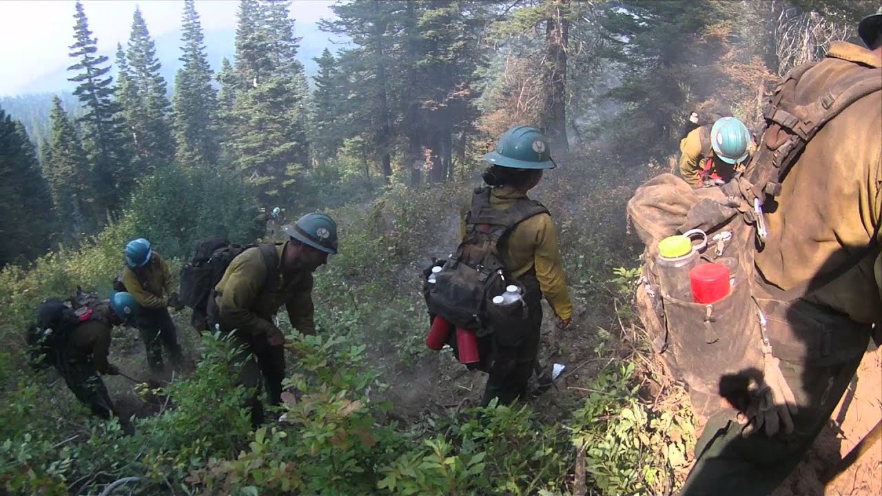 Fire Season 2015