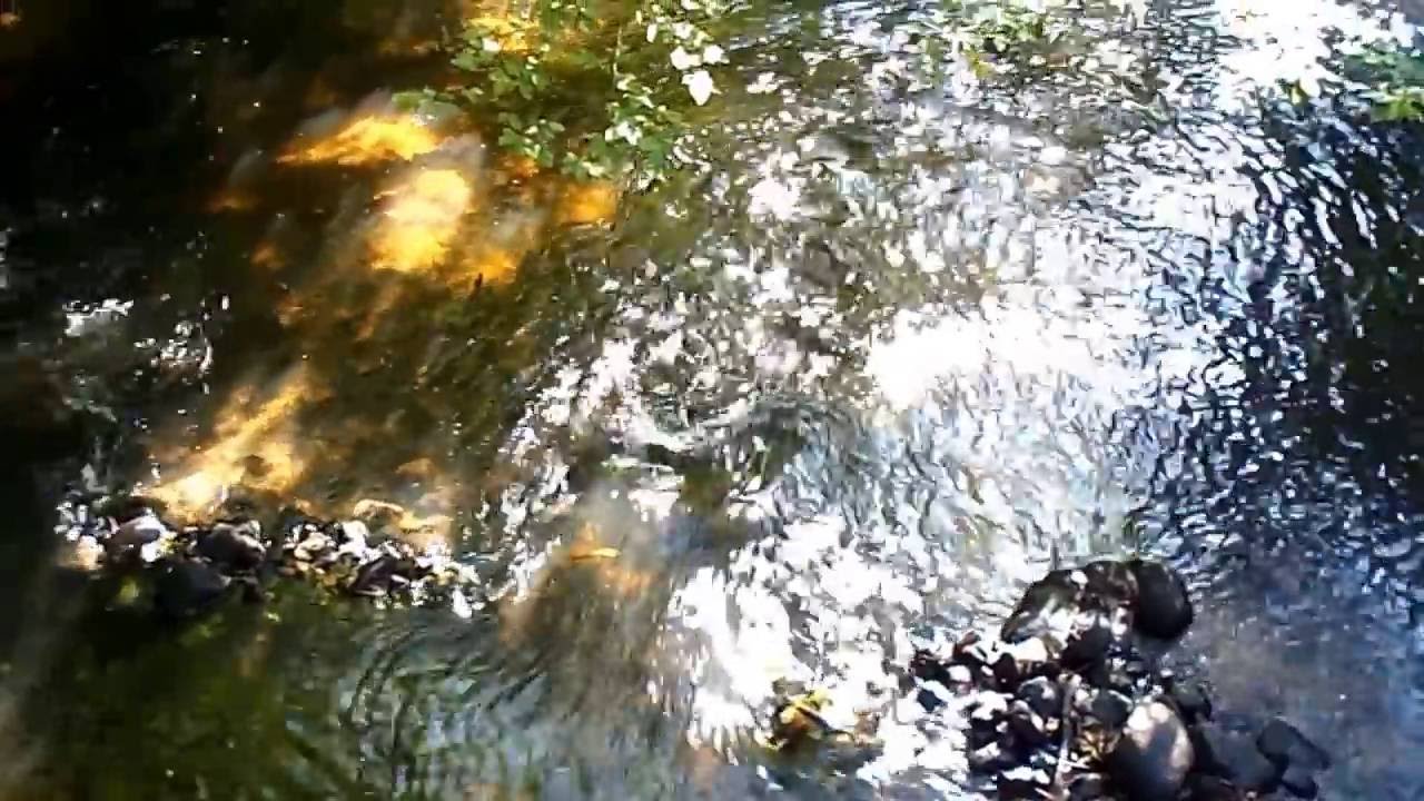 Schleswig Holstein -  ''Märchenhaftes Billetal''   |   ART FILM