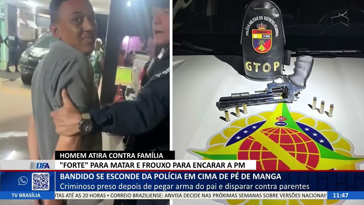 DF ALERTA - Bandido se esconde da polícia em cima de pé de manga