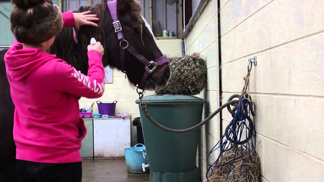 How To Groom A Horse | Winter Edition