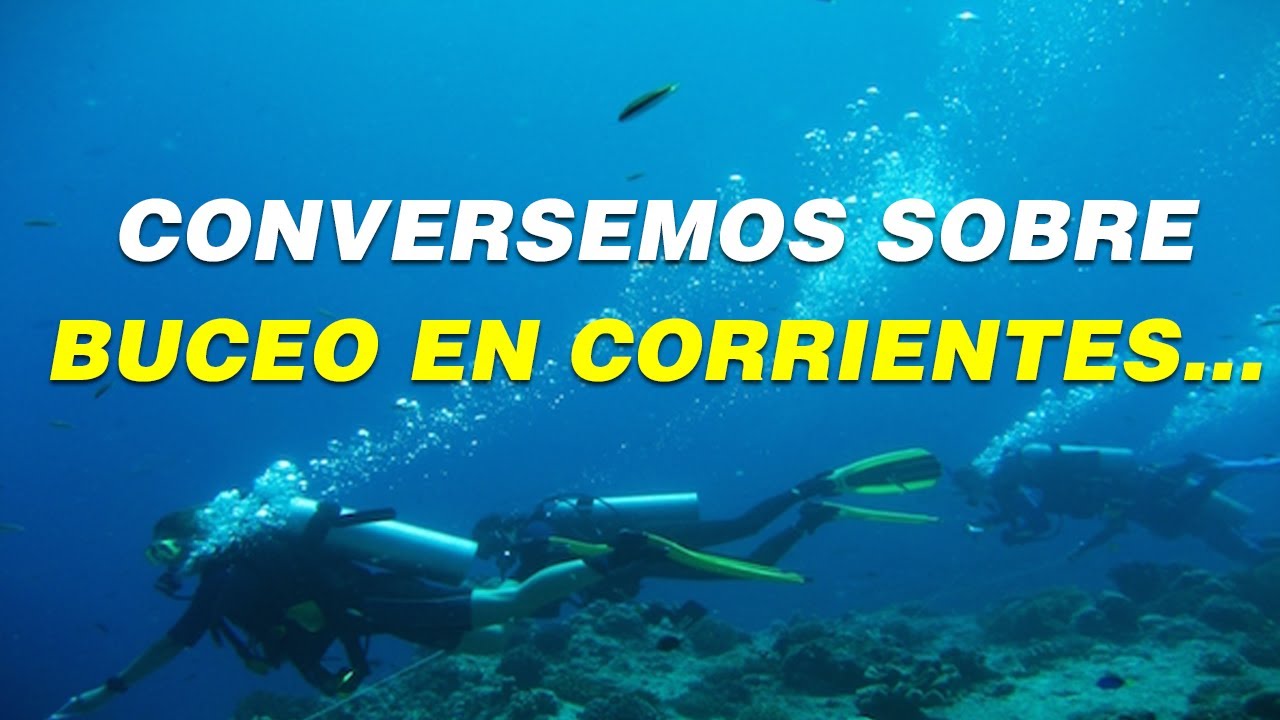 Cómo Bucear en Corrientes Fuertes y No Dejarse Llevar