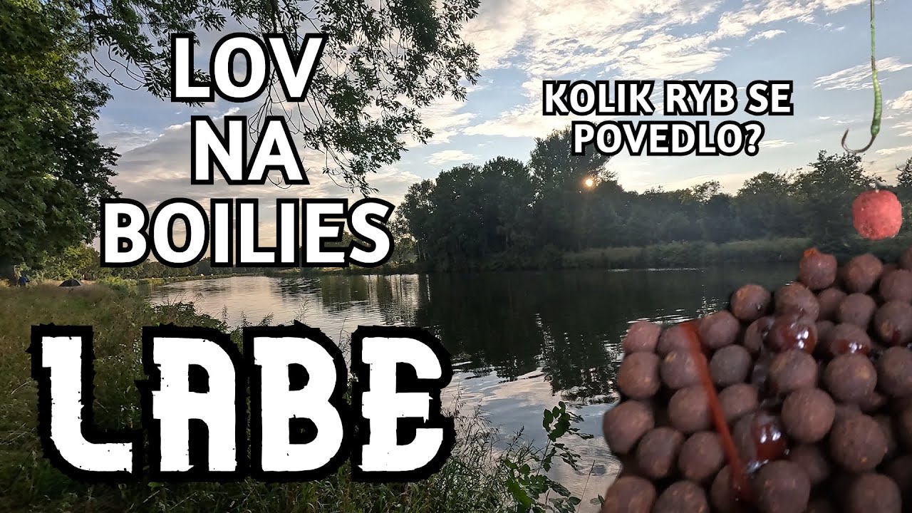 V&yacute;prava na LABE | TEST NOV&Eacute;HO BOILIES | Kolik kaprů se n&aacute;m povedlo ?